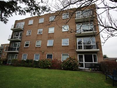 Picture 21